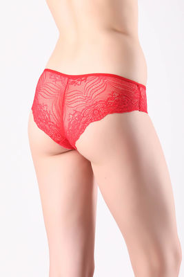 Lace Detailed Bikini Panties 41007 - Thumbnail