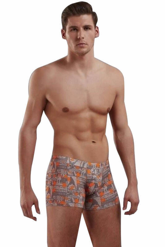 Doreanse Baskılı Boxer 1895 - 1