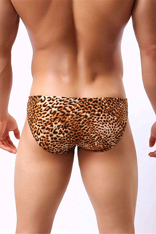 Leopar Desenli Erkek Slip - 3