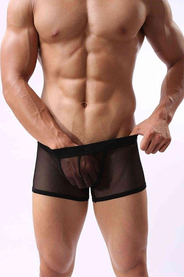 Siyah Transparan Fantezi Erkek Boxer - 1