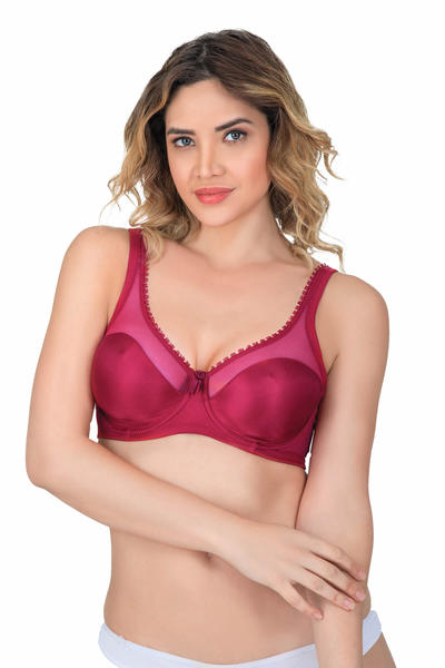 Tulle Detailed Underwire Minimizer Bra 169