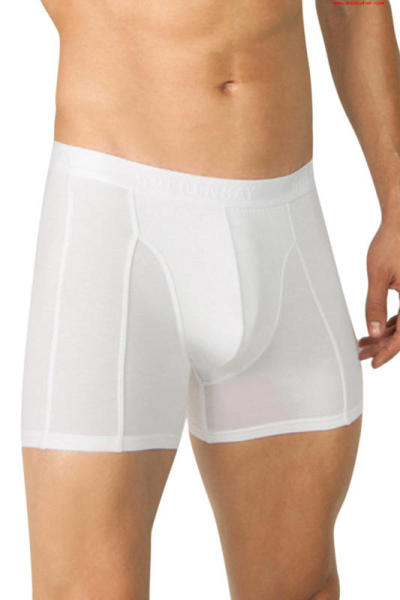 Soft Stitched Modal Boxer 1755